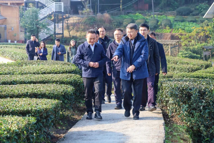 调研1
