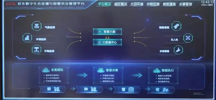 扶贫2
